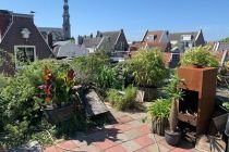 Open Tuinendag Jordaan 2026